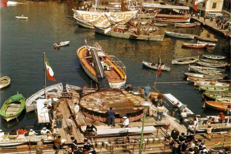 Camogli e la sagra del pesce fritto