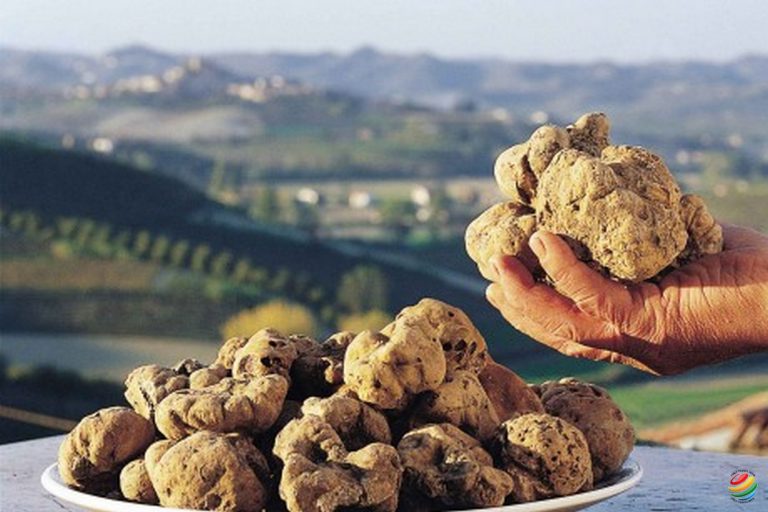 Alba e tartufo bianco