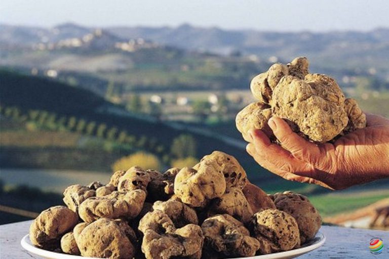 Alba e il suo tartufo bianco