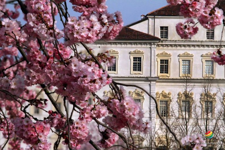 Reggia di Venaria – Unesco – Eventi e orari