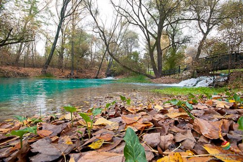 Parco Delle Sorgenti Sulfuree Del Lavino Lega Ambiente Italy Travel Web