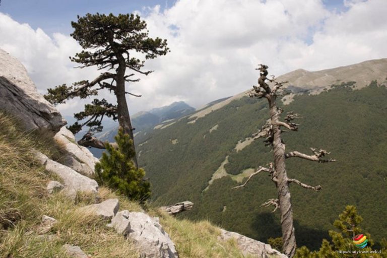 Parco Nazionale del Pollino