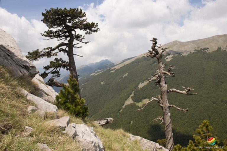 Parco Nazionale del Pollino – UNESCO Global Geopark