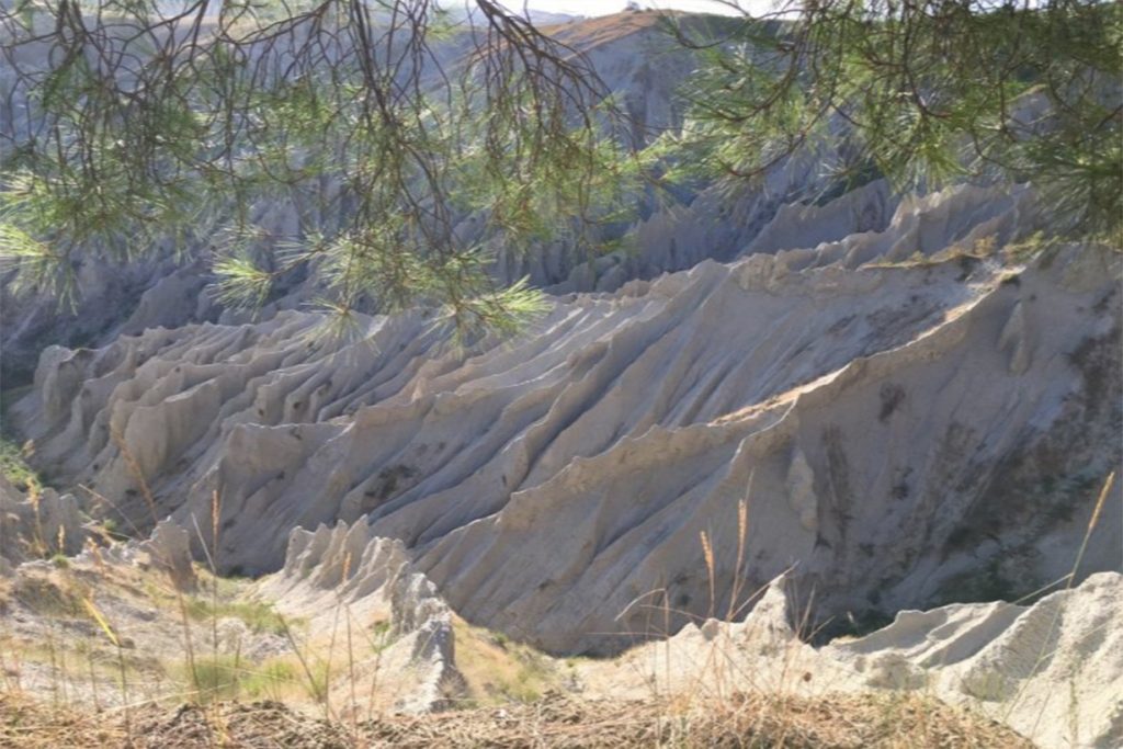 Riserva Naturale Regionale Calanchi di Atri