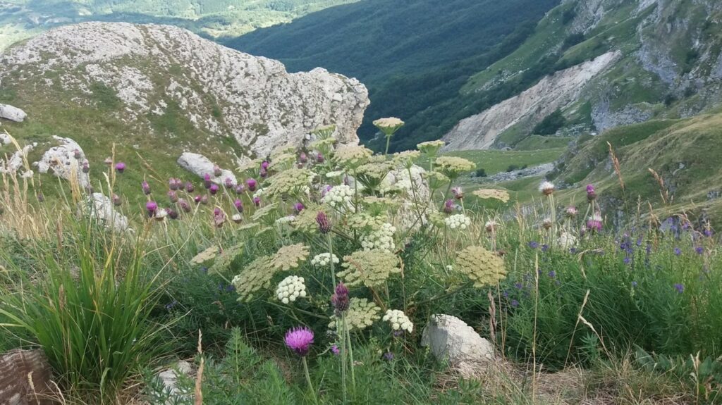 gran sasso