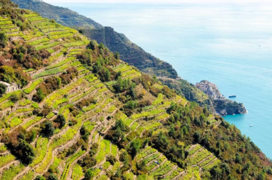 cinque terre