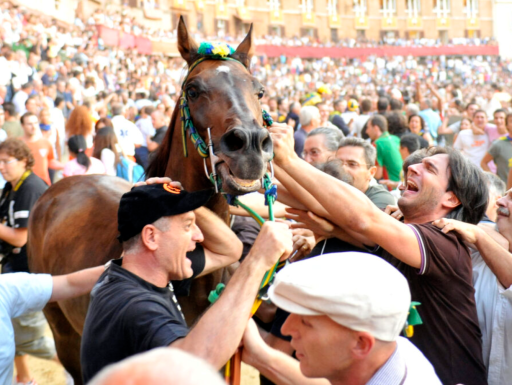 palio di siena