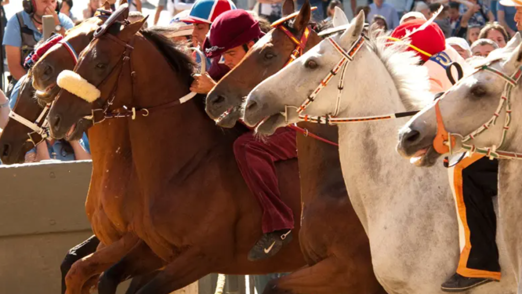 palio di siena